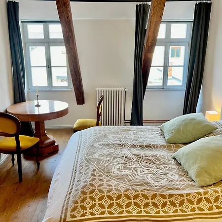 Oswald Hempel 5 Zimmermaisonette Und 3 Loftwohnung تسيتاو