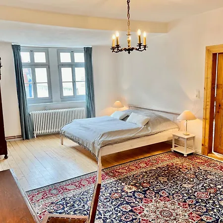 Oswald Hempel 5 Zimmermaisonette Und 3 Loftwohnung شقة تسيتاو