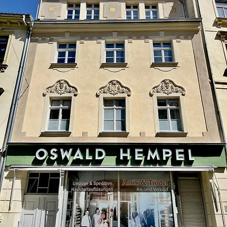 شقة Oswald Hempel 5 Zimmermaisonette Und 3 Loftwohnung تسيتاو