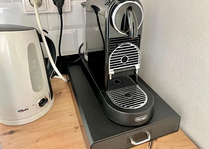 Oswald Hempel 5 Zimmermaisonette Und 3 Loftwohnung