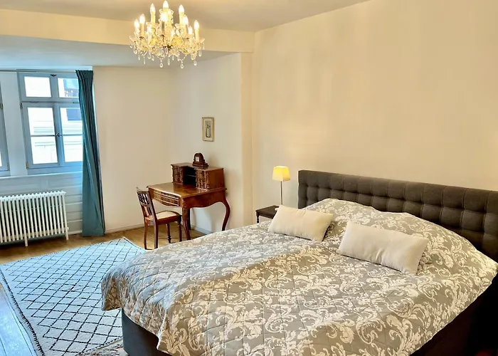 Oswald Hempel 5 Zimmermaisonette Und 3 Loftwohnung Апартаменты *