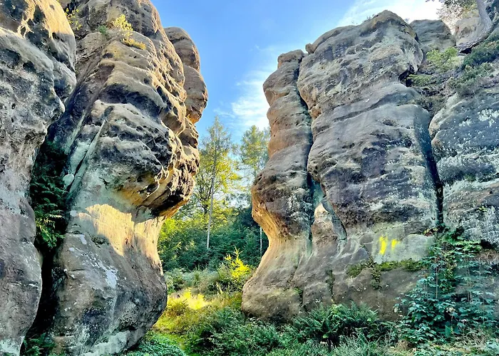 Oswald Hempel 5 Zimmermaisonette Und 3 Loftwohnung شقة