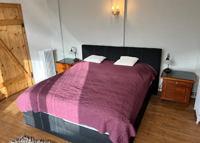 Oswald Hempel 5 Zimmermaisonette Und 3 Loftwohnung